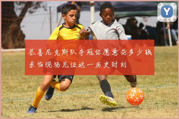 恭喜尼克斯队夺冠你愿意花多少钱亲临现场见证这一历史时刻