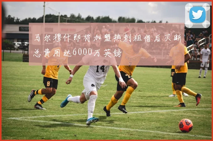 马尔穆什即将加盟热刺租借后买断总费用达6000万英镑