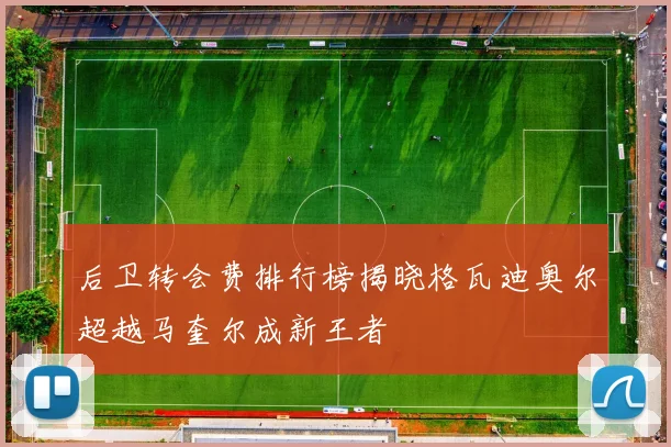 后卫转会费排行榜揭晓格瓦迪奥尔超越马奎尔成新王者